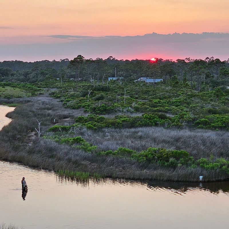 Western Panhandle Wetlands (Escambia, Santa Rosa, Okaloosa & Walton Counties)