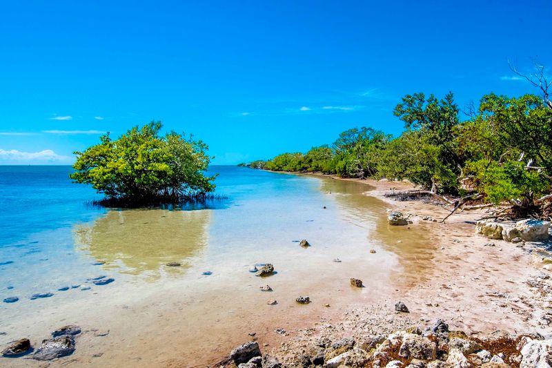 Anne's Beach (Islamorada)