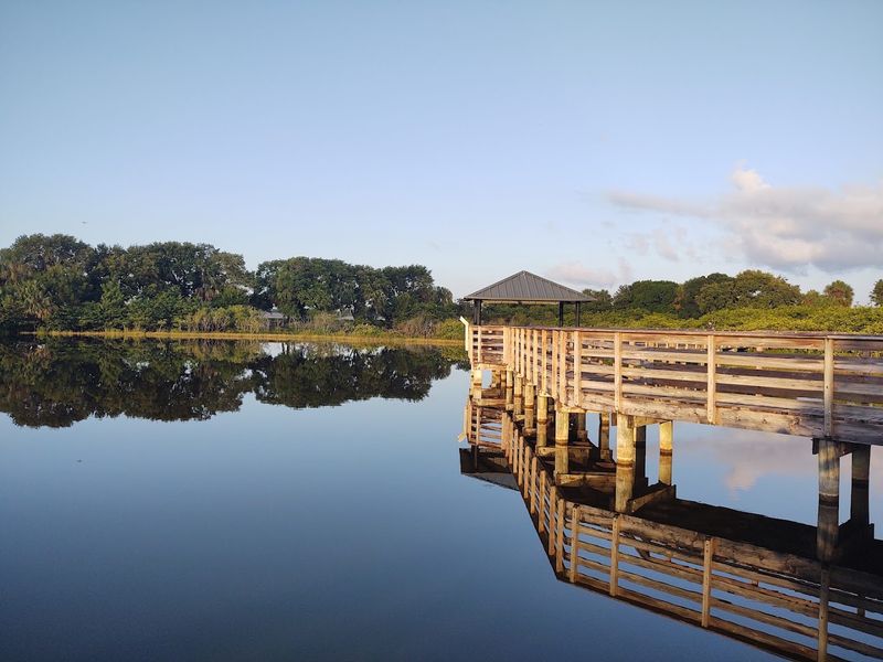 Wander an Elevated Boardwalk Through Wakodahatchee Wetlands (Delray Beach)