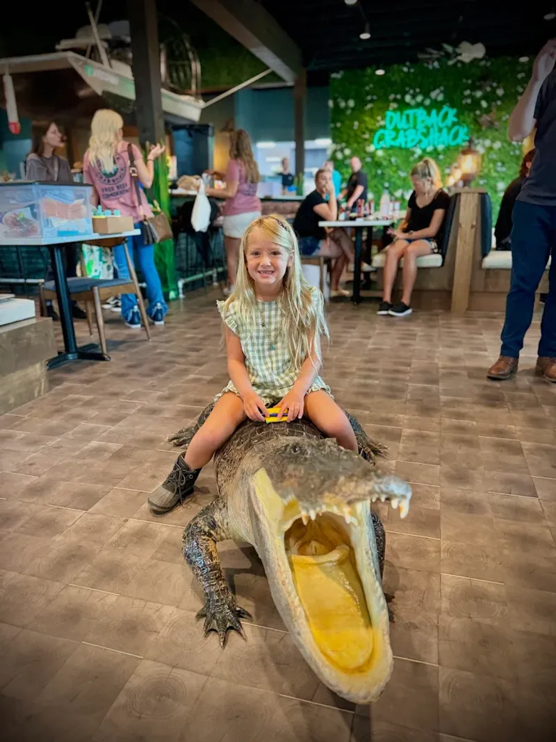 Authentic Florida Atmosphere You Can't Fake