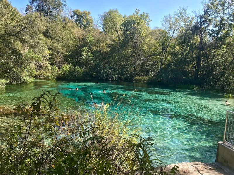 Ichetucknee River (Fort White)