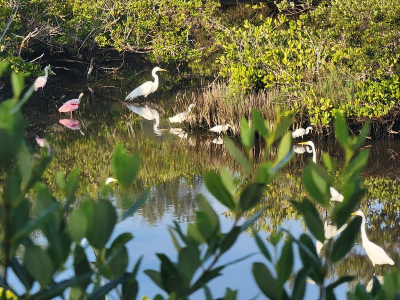 Pelican Island National Wildlife Refuge (Vero Beach)