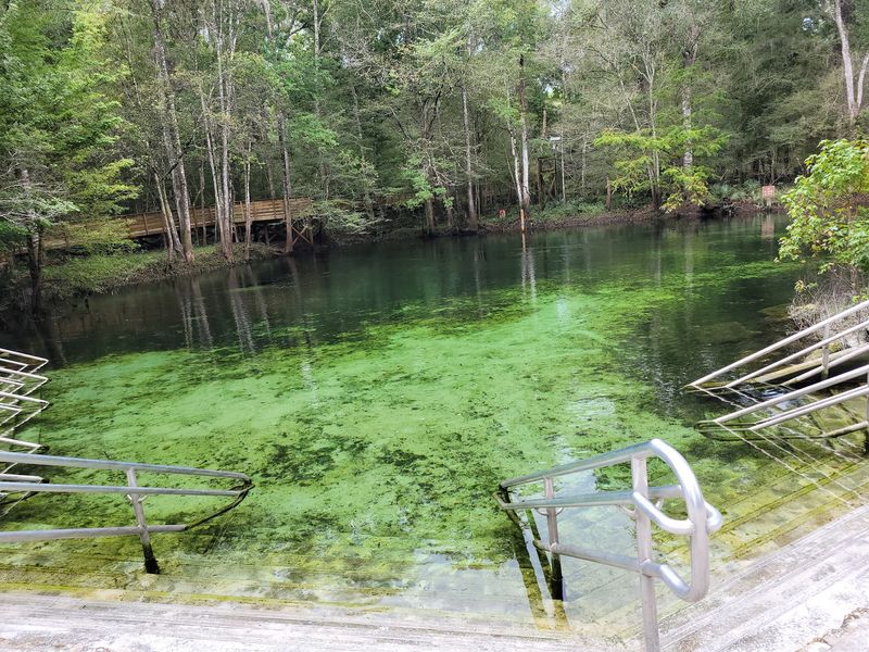 Poe Springs Park: The Local's Secret Spot