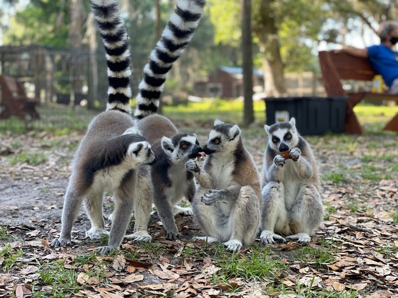 Plan Your Visit: Tips and Essentials