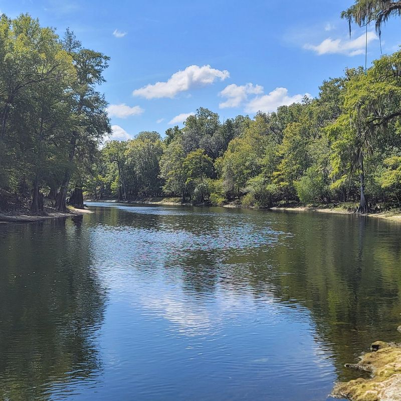 Santa Fe River Tubing Near High Springs