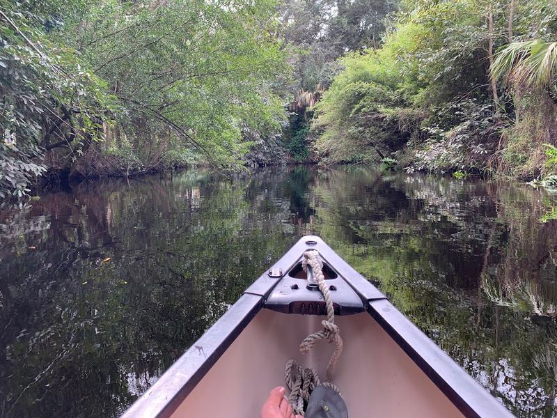 Kayaking the Imperial River: Nature Up Close