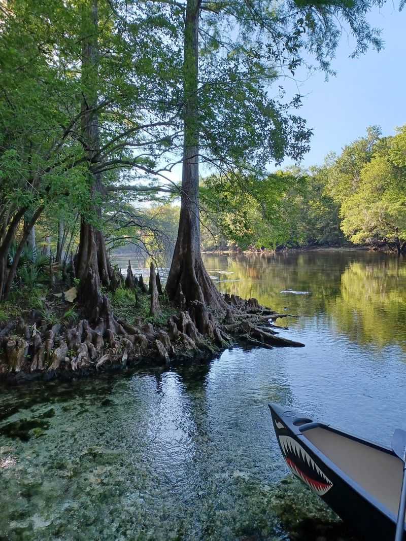 Bass Fishing Paradise With Consistent Action