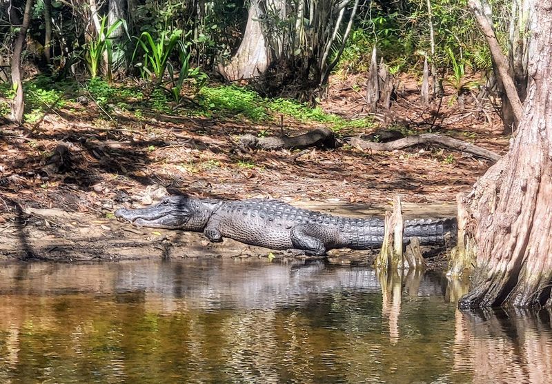 Jupiter Outdoor Center (Riverbend Park area)