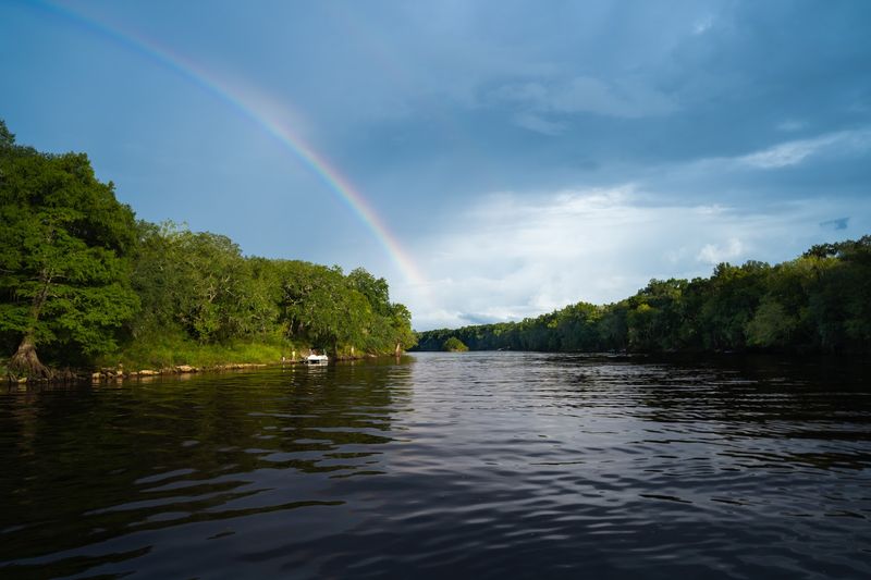 Suwannee River (Live Oak/North Florida)