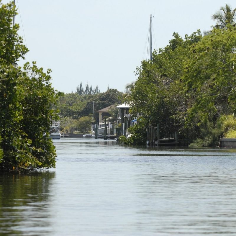 Birdwatching That Rivals Anywhere In Florida