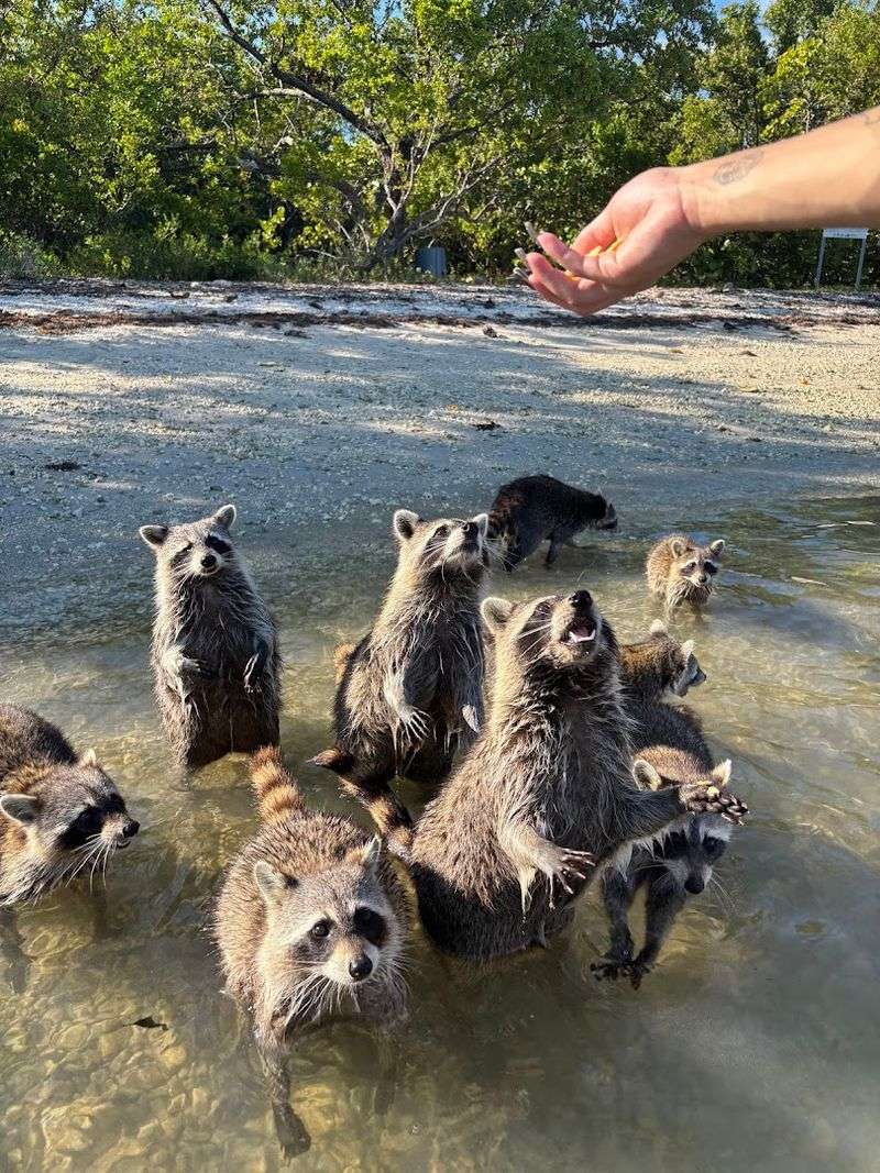 The Trash Problem Needs Everyone's Help