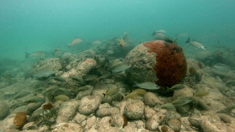 A Spanish Galleon Lost to History