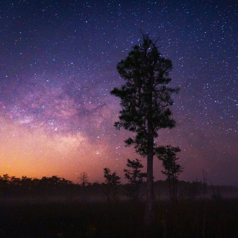 Big Cypress National Preserve
