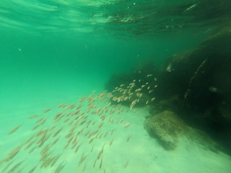 Norriego Point / Destin Jetties, Destin
