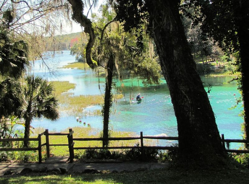 Rainbow Springs State Park (Dunnellon)
