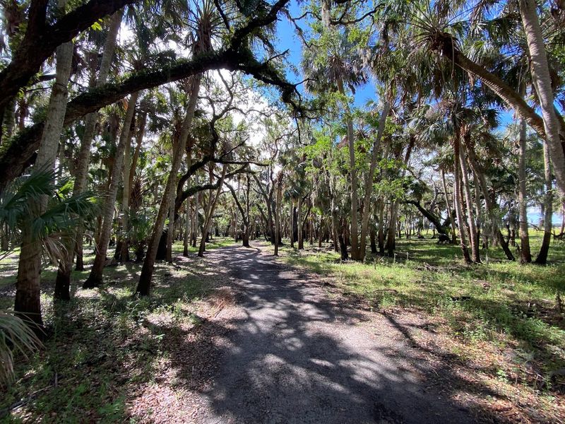Scenic Park Drive and Bike Routes