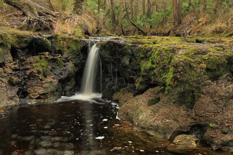 Robinson Branch Falls (Columbia County)