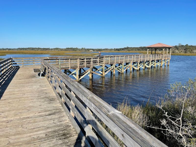 Dutton Island Preserve's Hidden Trails