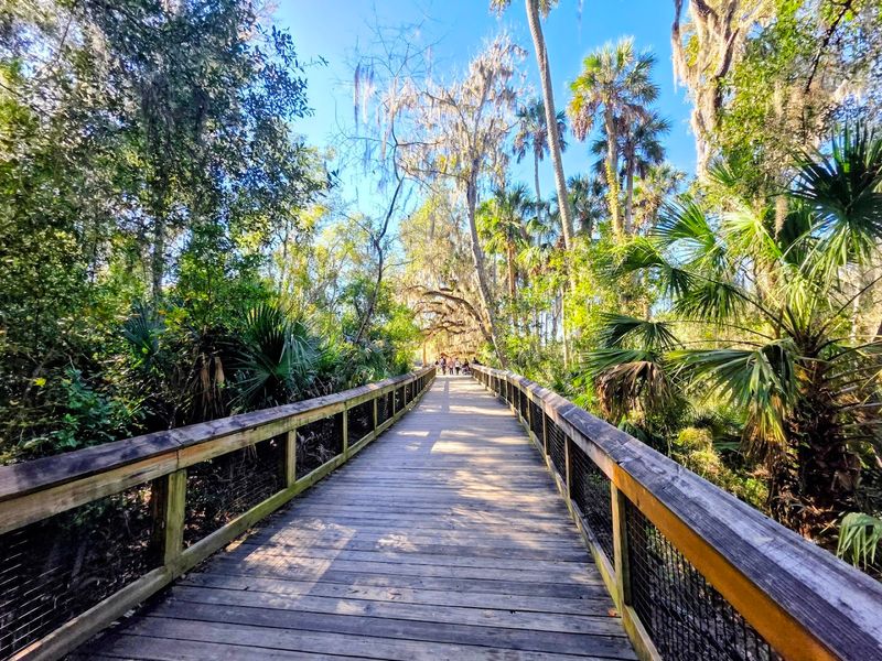 Blue Spring State Park (Orange City)