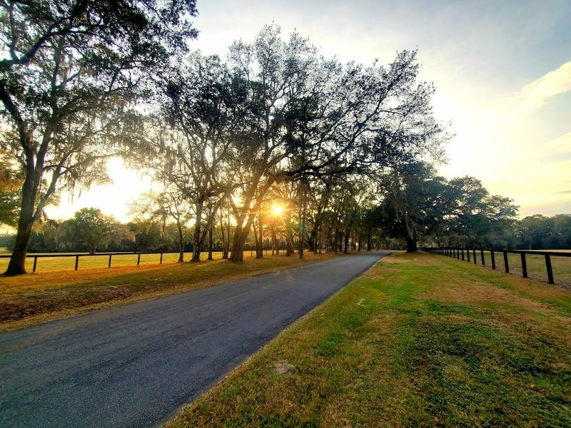 Visit a river town (Dunnellon or DeLand)