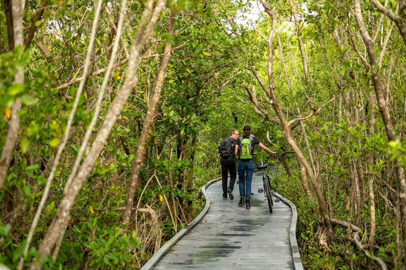 Walk a nature trail or boardwalk at a wildlife refuge (Statewide)