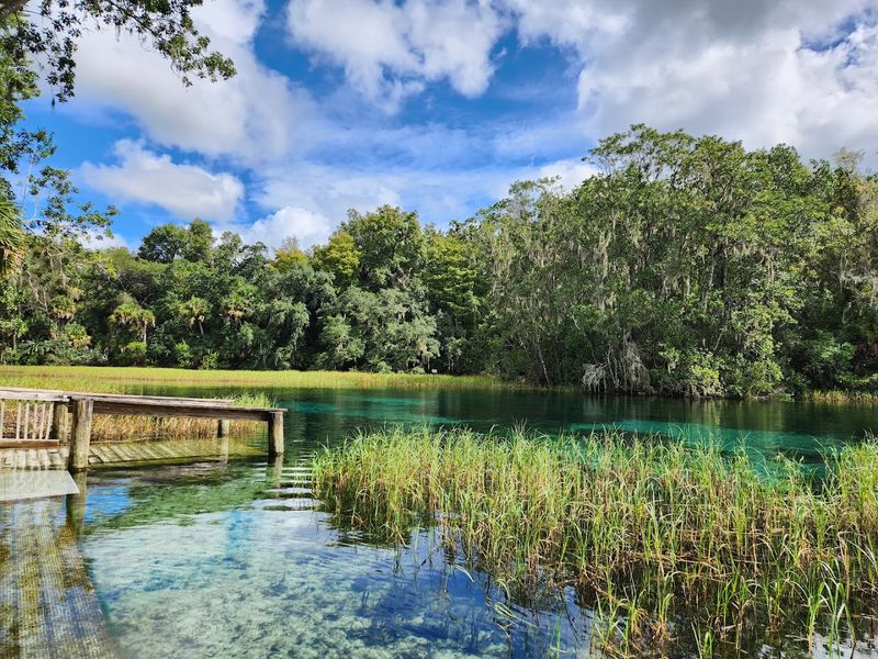 Rainbow Springs State Park