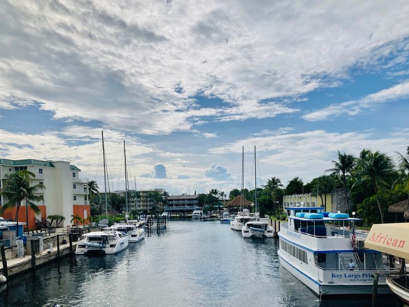 The African Queen Canal Cruise (Key Largo)