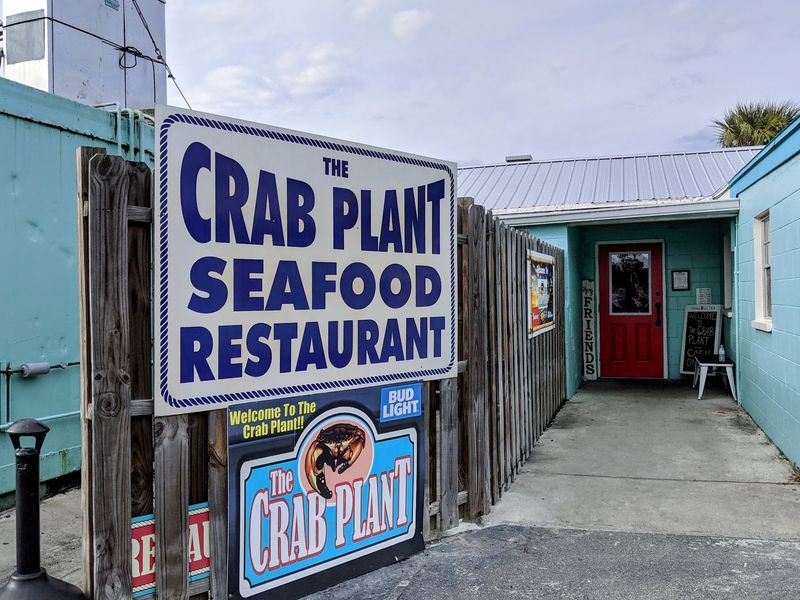 The Crab Plant (Crystal River)
