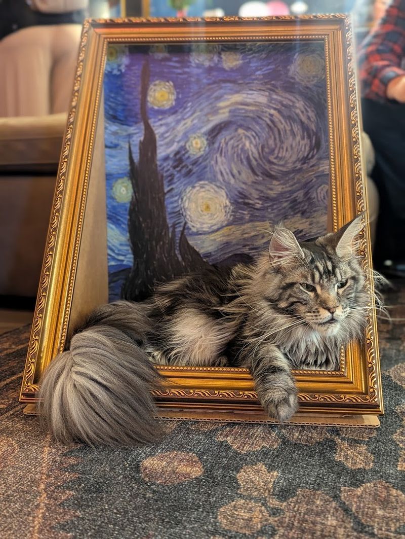 Owners Who Actually Care About Every Detail