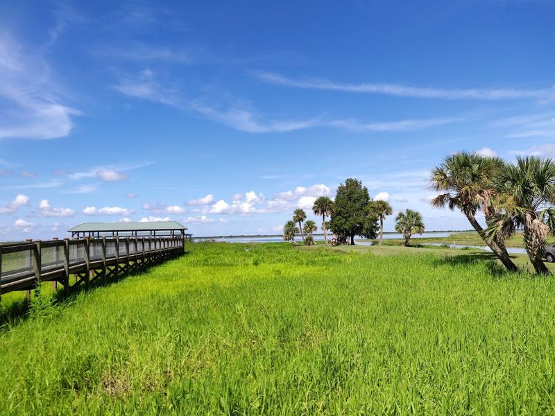 Wild Florida