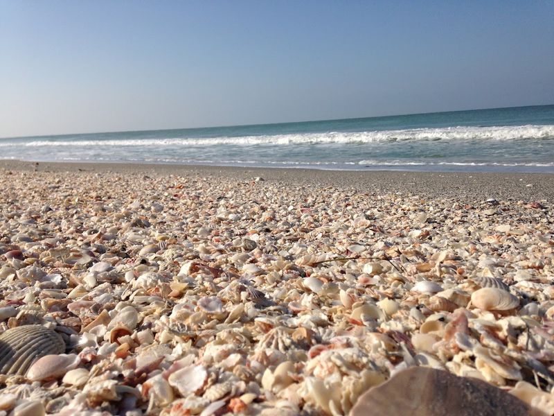 Captiva Island (Southwest Florida)