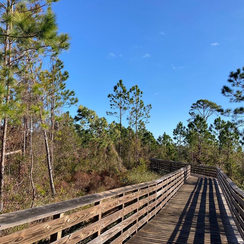 Hugh S. Branyon Backcountry Trail (Gulf State Park area)
