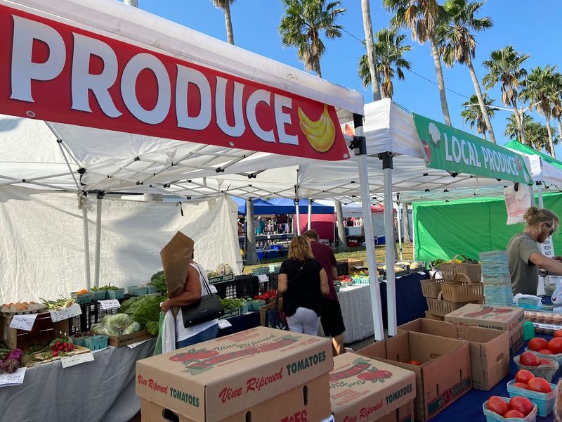 Venice Florida Farmers Market 