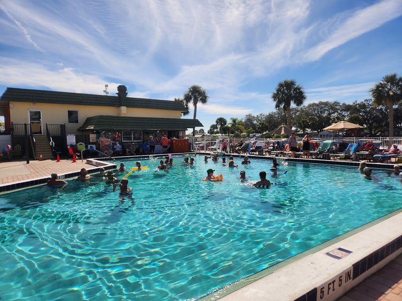 Pool Complex That Rivals Resort Hotels