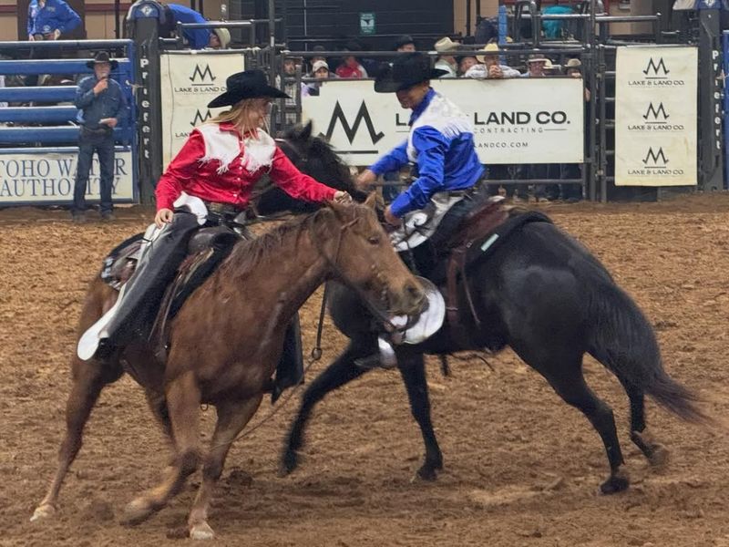 Team Roping That Proves Two Heads Beat One