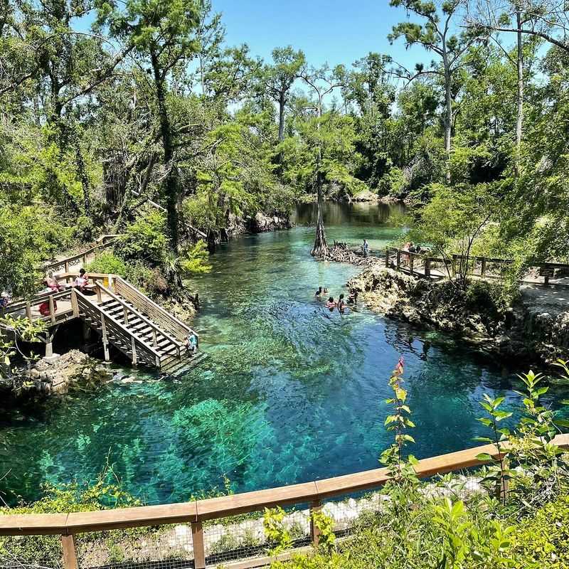 This Otherworldly Florida Spring Was Just Named America’s Best Swimming Hole