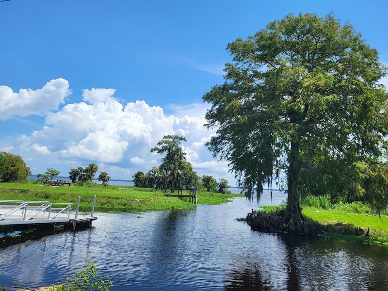 Blue Cypress Lake (Indian River County)