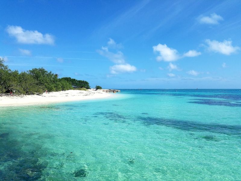 15 Best Places for Snorkeling in Florida That Are Totally Worth the Trip