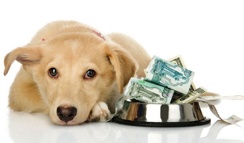 Unexpected Expenses