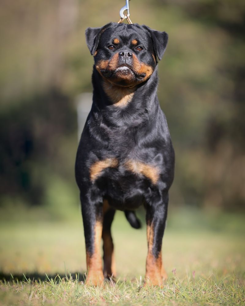 Size and Strength