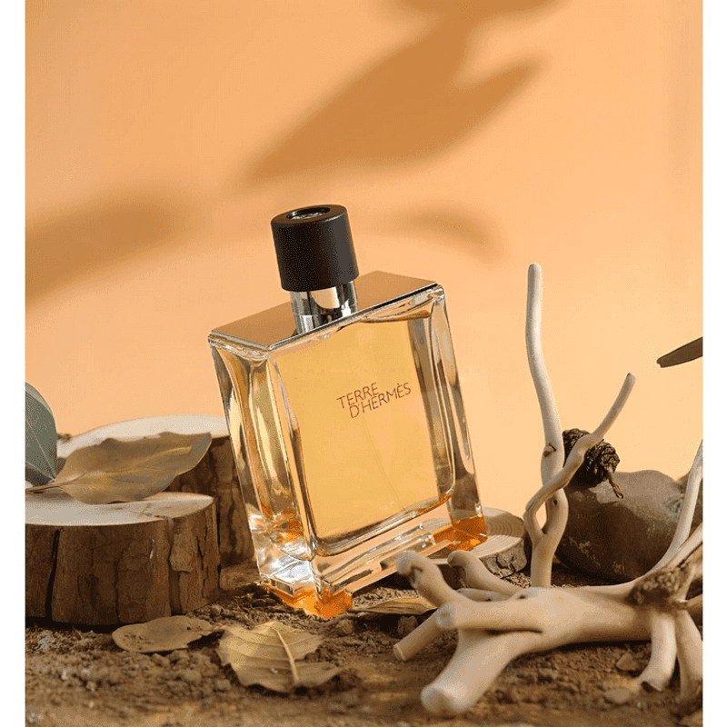 Hermès Terre d'Hermès - Grounded Elegance