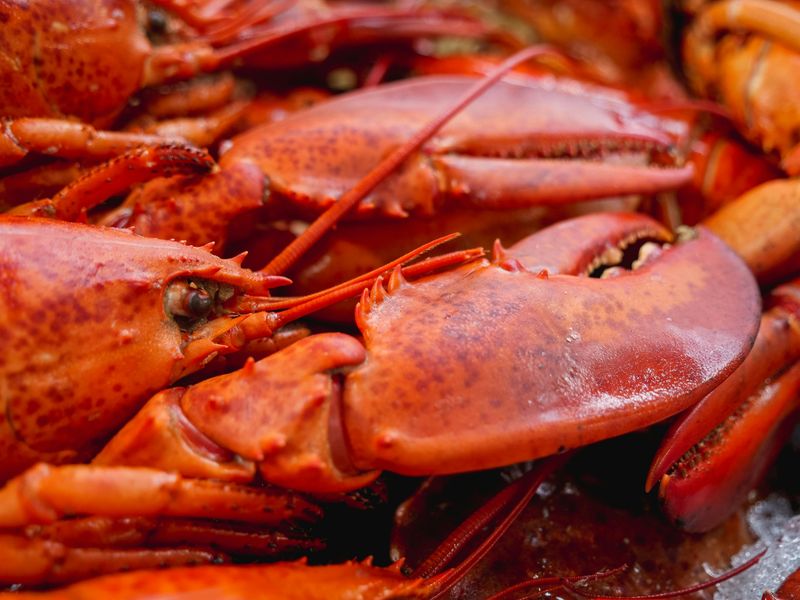 Lobster: From Prison Food to Seafood Sensation