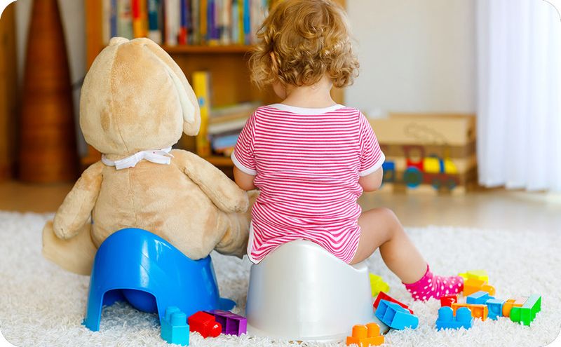 Transform Potty Time into Playful Adventures