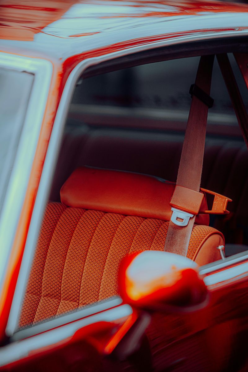 Seat Belts Are Optional (and Annoying)