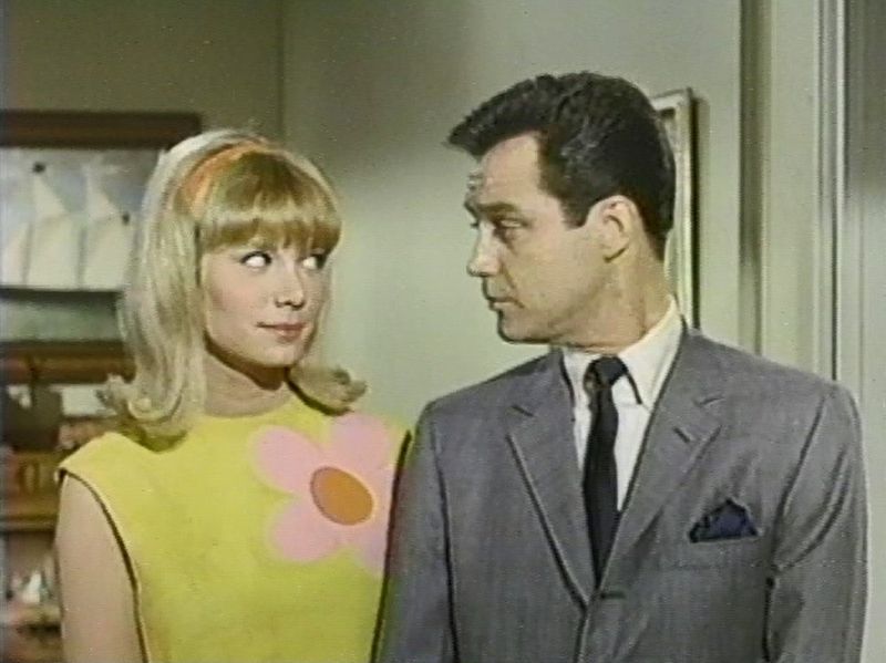 Occasional Wife (1966–1967)
