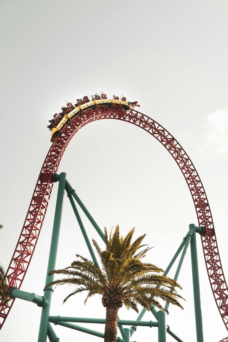 The Emotional Rollercoaster