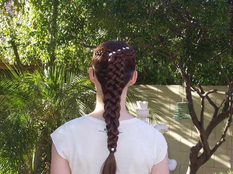Dutch Braids (Boxer Braids)