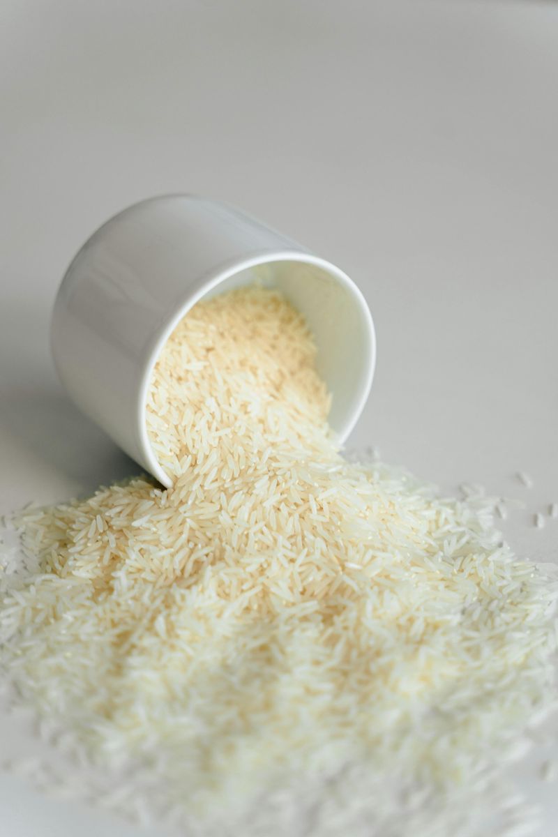 Rice Extract