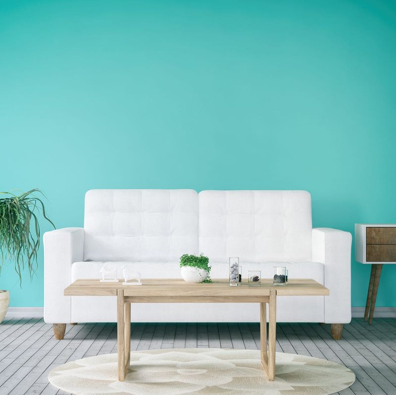 Bright or Trendy Paint Colors