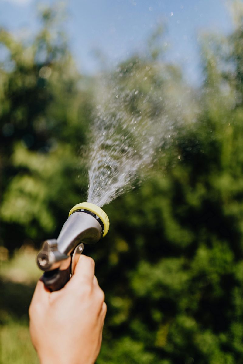 Drinking From the Garden Hose